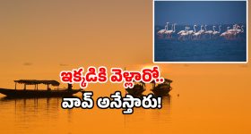 Best Lakes in India: ఇదొక మాయా ప్రపంచం.. ఒకసారి వెళ్తే మరిచిపోలేరు.. మీదగ్గరే ప్లాన్ చేసుకోండి!