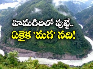 Male River: దేశంలో ప్రవహించే ఏకైక మగ నది ఇదే, దీని ప్రత్యేకత ఏంటో తెలుసా?