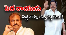 Watch Video: టికెట్ లేని ప్రయాణం.. పైగా  అధికారులపై కస్సున లేస్తోంది!