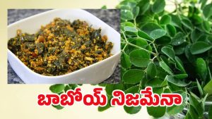 Munagaku Benefits: మునగాకుతో మామూలుగా ఉండదు.. దీని బెనిఫిట్స్ తెలిస్తే..