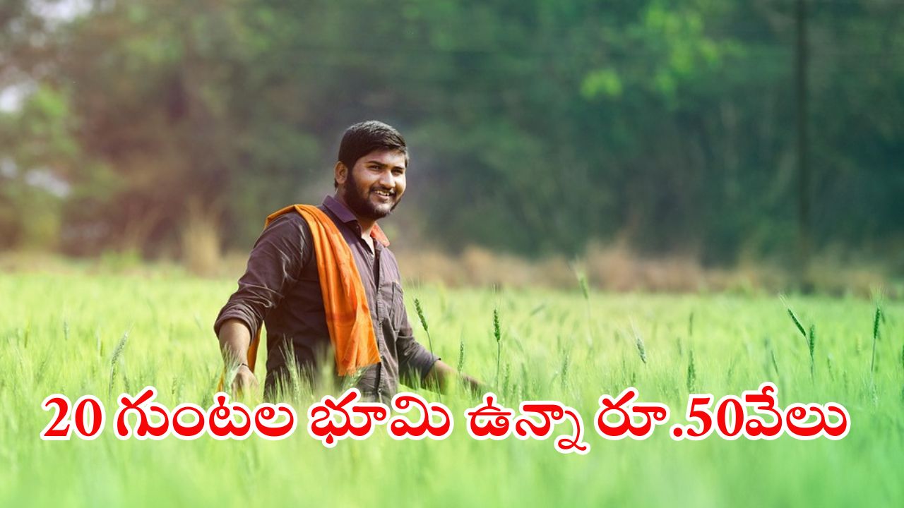Farmers: సొంత భూమి ఉంటే చాలన్నా.. సింపుల్‌గా రూ.50వేలు పొందండిలా..?