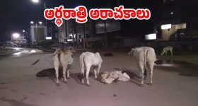 Crime News:13 ఏళ్ల బాలుడి కిడ్నాప్.. బతికి ఉండగానే నిప్పు పెట్టి.. కారణం అదేనా?