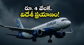 Make In India Metro: వేగంగా తయారవుతున్న మెట్రో కోచ్‌లు.. విలువ కోట్లలో.. ఏ రాష్ట్రానికో తెలుసా?