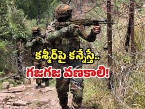 Indian Army Upgrades: పాక్‌కు ముచ్చెమటలు పట్టించే నిర్ణయం తీసుకున్న కేంద్రం.. ఏకంగా రూ.67 వేల కోట్లతో…