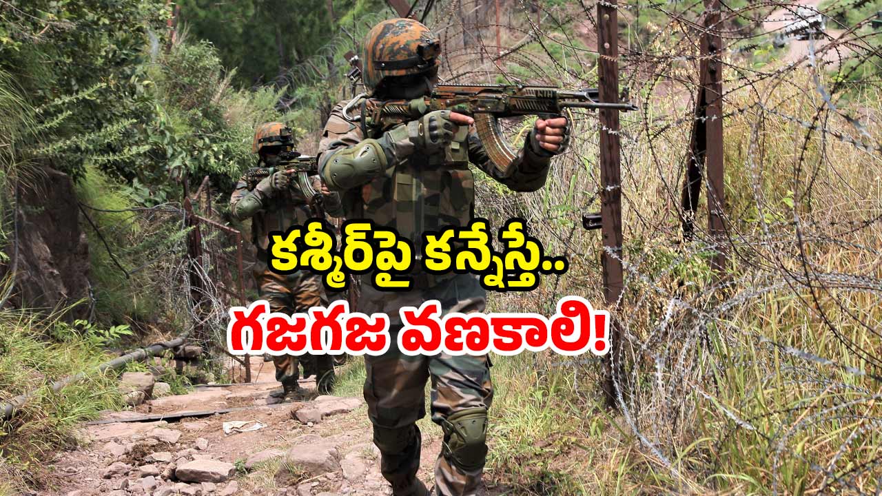 Indian Army Upgrades: పాక్‌కు ముచ్చెమటలు పట్టించే నిర్ణయం తీసుకున్న కేంద్రం.. ఏకంగా రూ.67 వేల కోట్లతో…