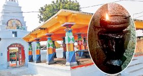 Potato Birth: ఏంటీ? బంగాళ దుంప తల్లి.. టమోటానా? శాస్త్రవేత్తల మైండ్ బ్లోయింగ్ డిస్కవరీ!