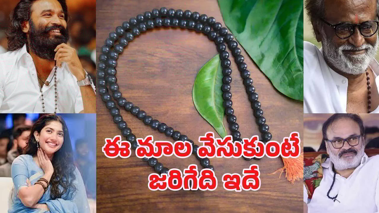 Karungali Mala: ఒక చిన్న మాల.. జీవితాన్ని మార్చేస్తుందా? ఇది దేవుని ఆశీర్వాదమా!