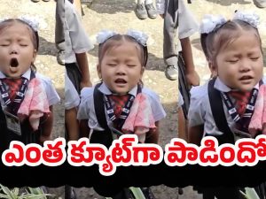 Jana Gana Mana: జాతీయ గీతాన్ని చిన్నారి ఎంత ముద్దుగా పాడిందో చూడండి.. వావ్ అనాల్సిందే..!