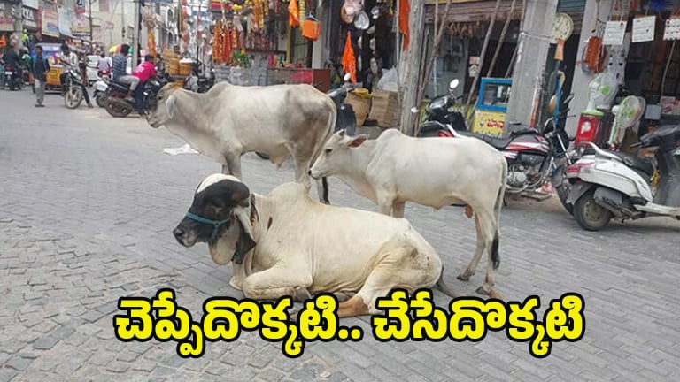 Monda Market: ఆవుల చోరీ కేసులో పోలీసులు ఓవర్ యాక్షన్.. అసలు నిజాలివే.. తప్పంతా వాళ్లదే..?