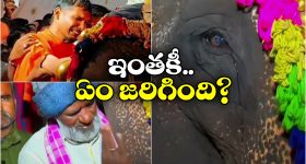 Mallika Sherawat: బిగ్ బాస్‌లోకి హాట్ బ్యూటి మల్లికా షెరావత్.. అబ్బాయిలు ఇక టీవీ వదలరేమో!