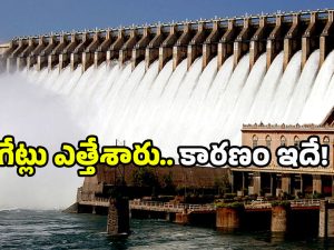 Nagarjunasagar flood: నాగార్జునసాగర్‌ గేట్లు ఎత్తివేత.. సందర్శకులకు బిగ్ అలర్ట్!