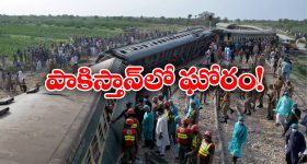 Train Derails: పట్టాలపై వెళ్తున్న రైలు ఒక్కసారే గాల్లోకి.. 29 మంది..