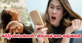 Hair Care Tips: వర్షంలో జుట్టు తడిస్తే..… వెంటనే ఇలా చేయండి?