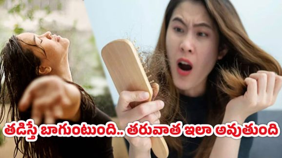 Hair Care Tips: వర్షంలో జుట్టు తడిస్తే..… వెంటనే ఇలా చేయండి?