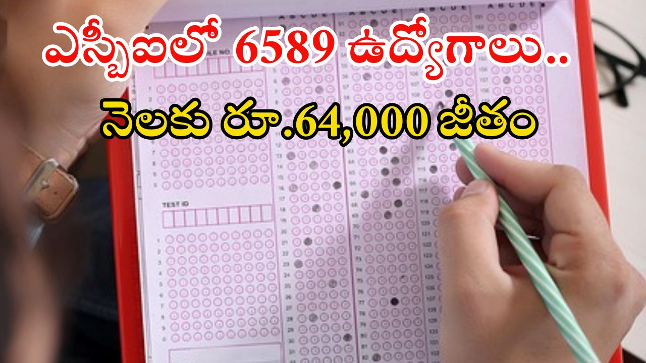 SBI Notification: ఎస్బీఐ నుంచి భారీ నోటిఫికేషన్ విడుదల.. డిగ్రీ పాసై ఉంటే అప్లై చేసుకోవచ్చు..