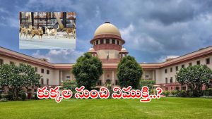Supreme Court: లక్షల వీధి కుక్కలను షెల్టర్లకు తరలించండి.. సుప్రీం సంచలన ఆదేశాలు