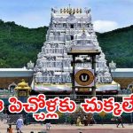 Tirumala News: మహిళా భక్తులకు టీటీడీ శుభవార్త.. వారిపై కేసు నమోదు చేస్తాం