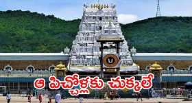 Tirumala News: మహిళా భక్తులకు టీటీడీ శుభవార్త.. వారిపై కేసు నమోదు చేస్తాం