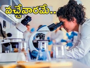Telangana Govt Jobs: ల్యాబ్ టెక్నీషియన్ పోస్టులు..  మెరిట్ లిస్ట్ రిలీజ్, ఇక సర్టిఫికేట్ వెరిఫికేషన్