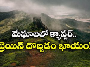 Hill Stations: హిల్ స్టేషన్స్ కు ఎగేసుకు వెళ్తున్నారా? అయితే, మీ పని అయిపోయినట్లే!