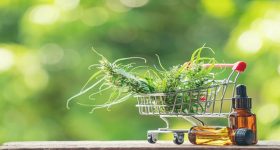 Successful Business: రూ.35 వేల పెట్టుబడి.. ఇప్పుడు రూ.36 కోట్ల రాబడి, 23 ఏళ్ల యువకుడి సక్సెస్ సీక్రెట్ ఇదే!