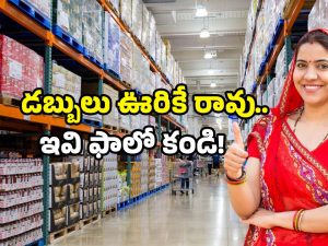 Wholesale vs Retail: హోల్‌సేల్ vs రిటైల్ మార్కెట్.. ఏది బెటర్? ఎక్కడ కొనాలి?