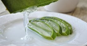 Aloevera: తాజా కలబంద ఆకును తలకు రుద్దితే జుట్టు పెరుగుతుందా?