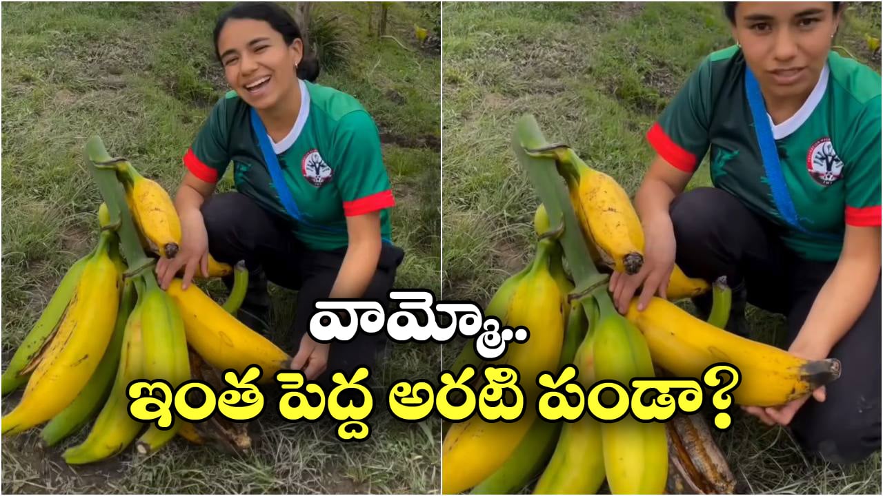 Biggest Banana: బెట్, ఈ బనానాను ఒక్కరే తినలేరు.. చరిత్రలో అత్యంత పెద్ద అరటి పండు పొడవు ఎంతో తెలుసా?