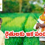 Annadata Sukhibhava: గుడ్‌న్యూస్.. నేడే ఏపీ రైతుల ఖాతాల్లో రూ.7 వేలు జమ..