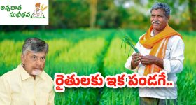 Annadata Sukhibhava: గుడ్‌న్యూస్.. నేడే ఏపీ రైతుల ఖాతాల్లో రూ.7 వేలు జమ..