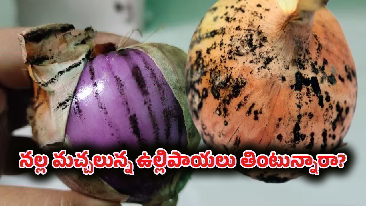 Onions: ఈ ఉల్లిపాయలు తింటే… శరీరంలో ఫంగస్ పెరుగుతుంది! జాగ్రత్త!
