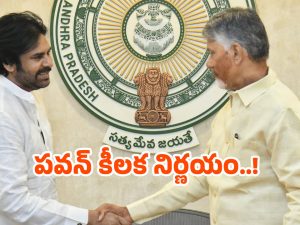 Pawan Kalyan project: పవన్ సరికొత్త కార్యక్రమానికి శ్రీకారం.. కోట్లల్లో ఖర్చు.. ఎందుకంటే?