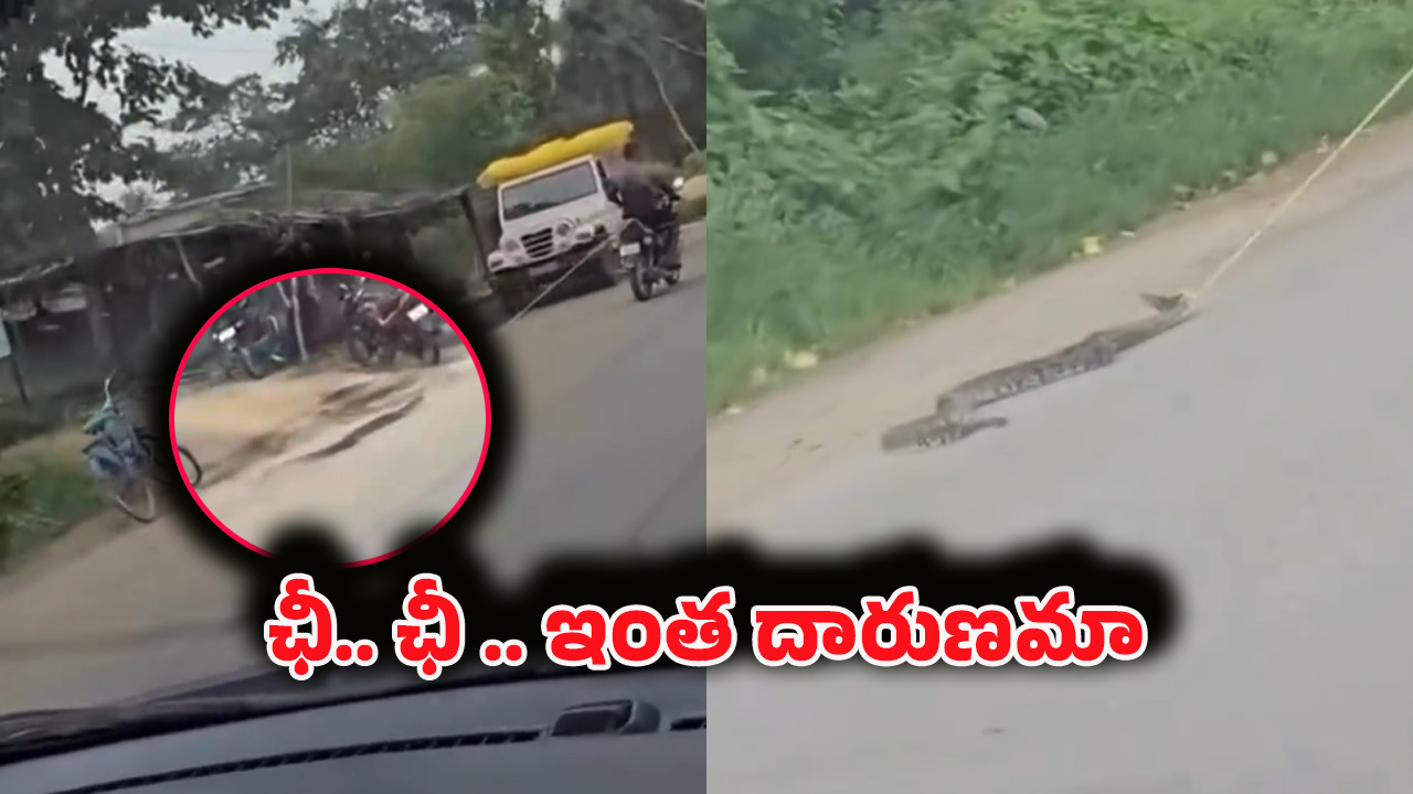 Viral Video: నువ్వు మనిషివేనా.. పాముని తాడుతో బైక్ కు కట్టేసి మరీ..